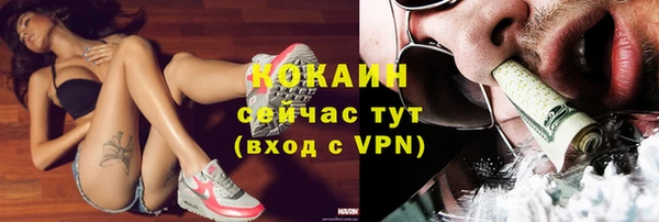 твердый Бронницы