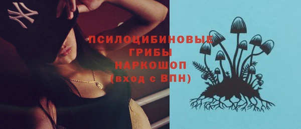 твердый Бронницы